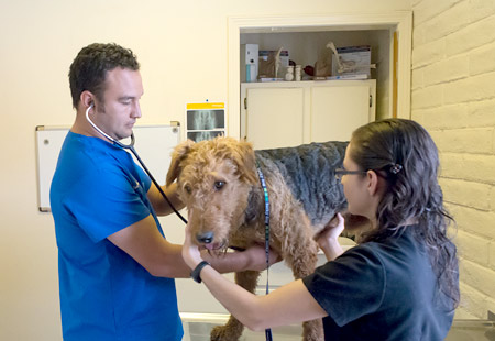 Yucca Veterinary Medical Center