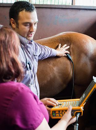 Yucca Veterinary Medical Center