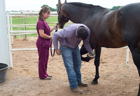 Yucca Veterinary Medical Center