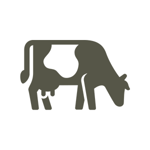 Large animal icon